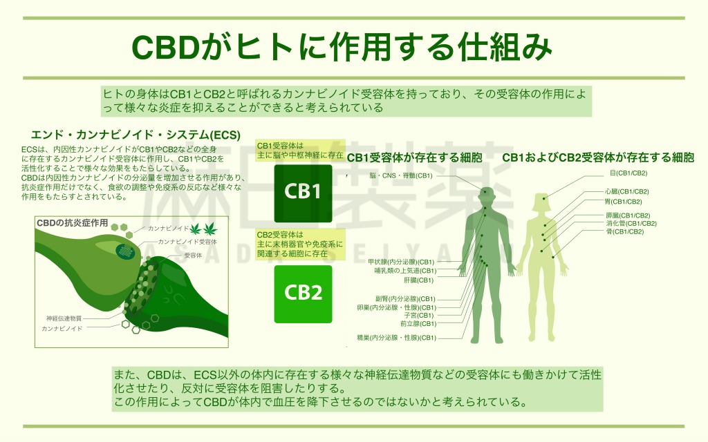 CBDの期待できる5つ効果と副作用